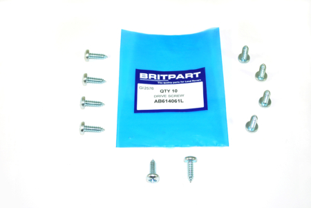 AB614061L DRIVE SCREW SELF TAPPING PACK OF 10