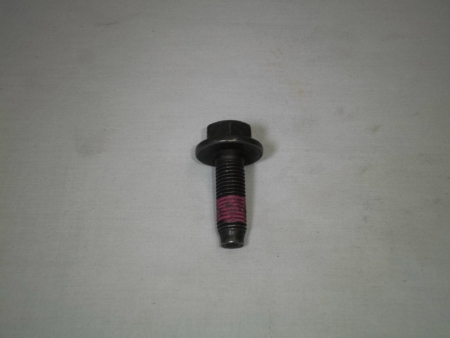 LR078303 CAM PULLEY BOLT TDV6 DISCOVERY 3-4 RR SPORT